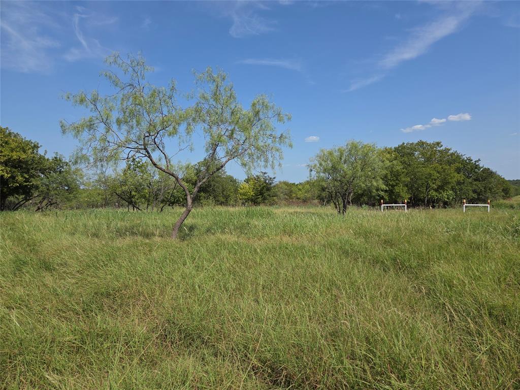 Lot 5-r4 Southwest Lot 5-r4 Sw County Road Corsicana, TX 75110 - Photo 37 of 38 a view of a lush green outdoor space with a lake view