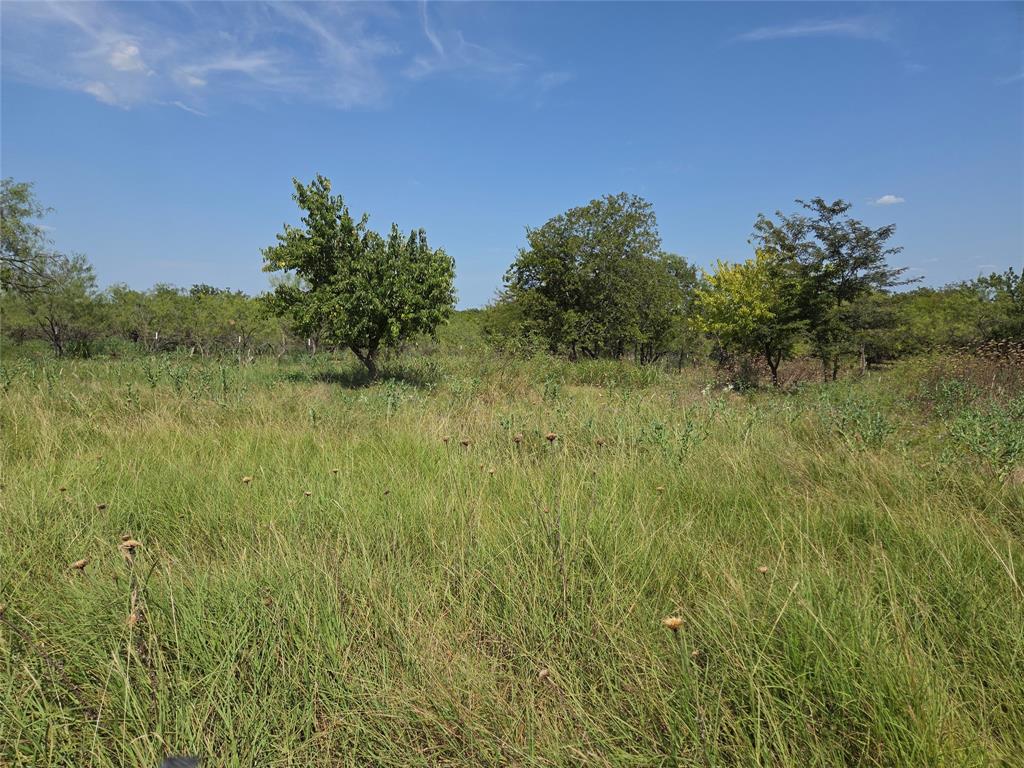 Lot 5-r4 Southwest Lot 5-r4 Sw County Road Corsicana, TX 75110 - Photo 38 of 38