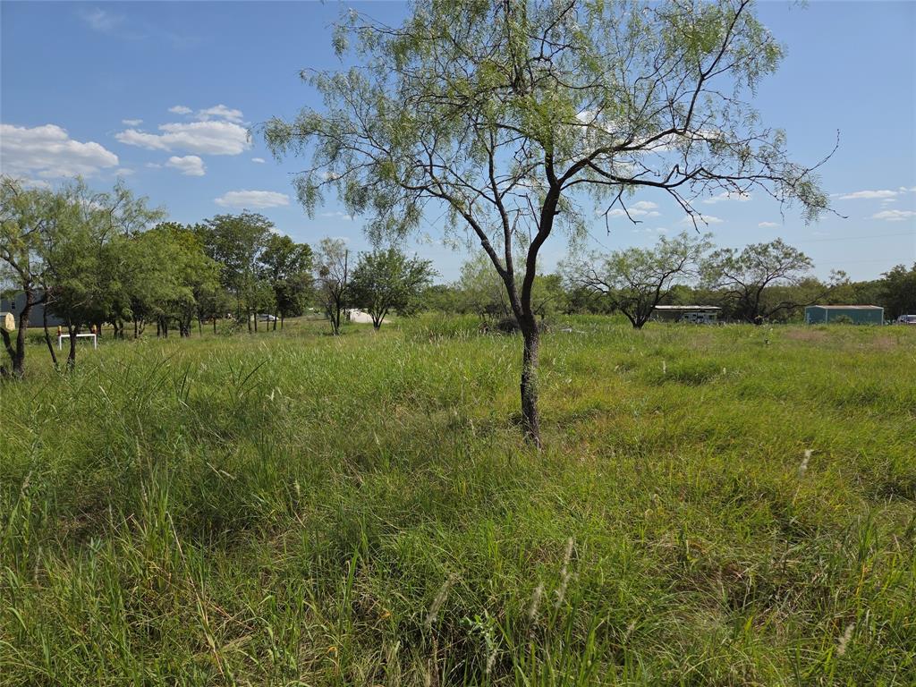 Lot 5-r4 Southwest Lot 5-r4 Sw County Road Corsicana, TX 75110 - Photo 4 of 38 a backyard of a house with lots of green space
