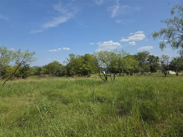 a view of a lush green space