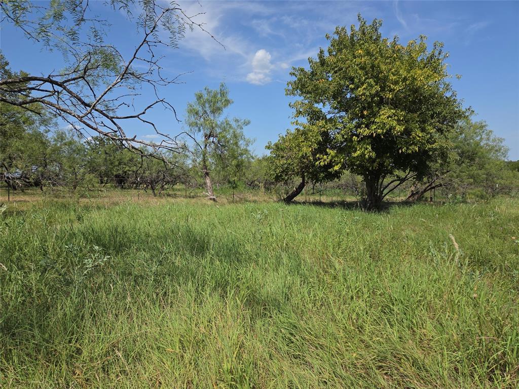 Lot 5-r4 Southwest Lot 5-r4 Sw County Road Corsicana, TX 75110 - Photo 6 of 38 a view of a lush green space