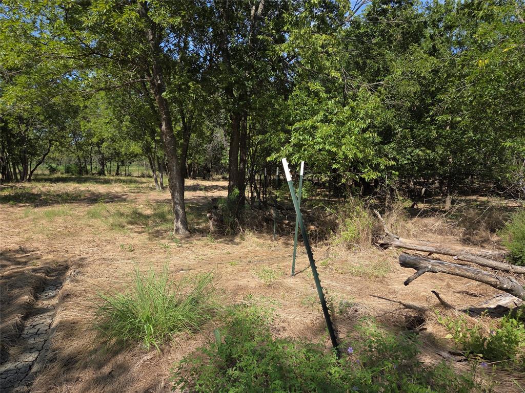 Lot 5-r4 Southwest Lot 5-r4 Sw County Road Corsicana, TX 75110 - Photo 7 of 38 a view of a yard with a tree