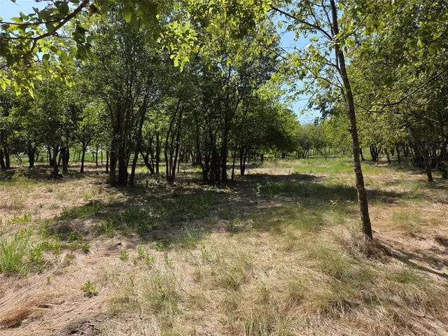 a view of outdoor space with trees