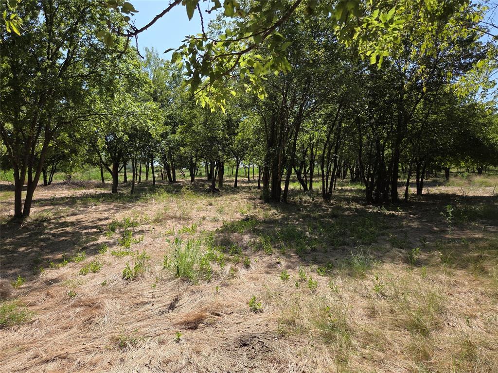 Lot 5-r4 Southwest Lot 5-r4 Sw County Road Corsicana, TX 75110 - Photo 9 of 38 a view of outdoor space with trees