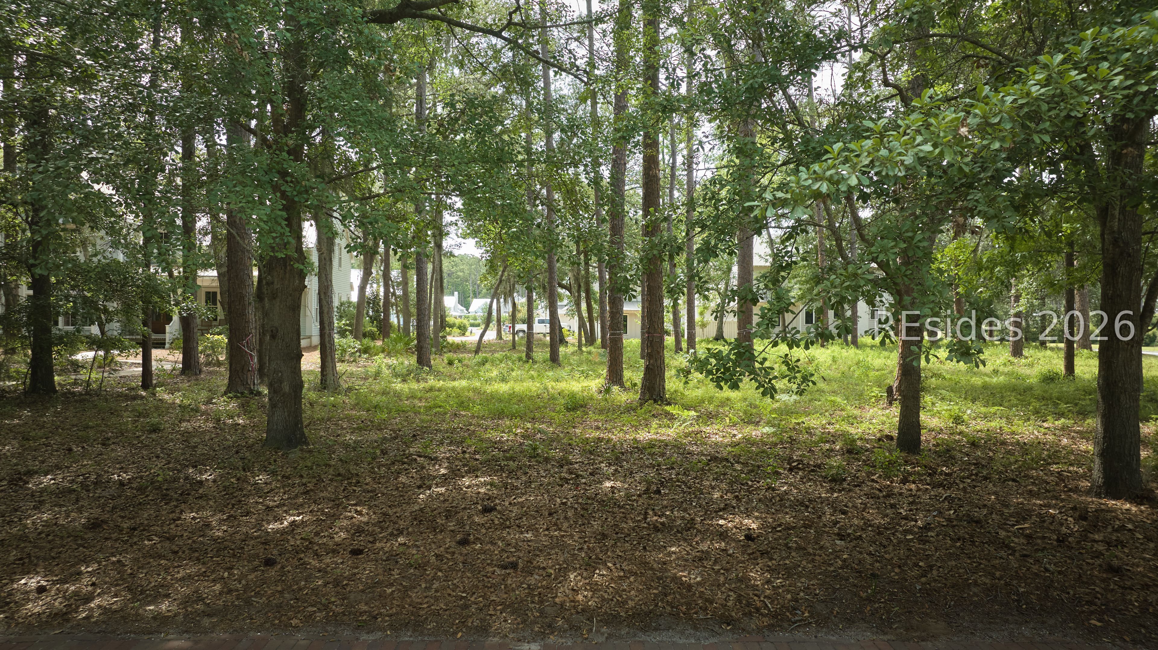 36 Red Knot Road Bluffton, SC 29910 - Photo 2 of 13