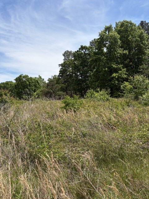 0 Fortyeight Creek Road Waynesboro, TN 38485 - Photo 3 of 4