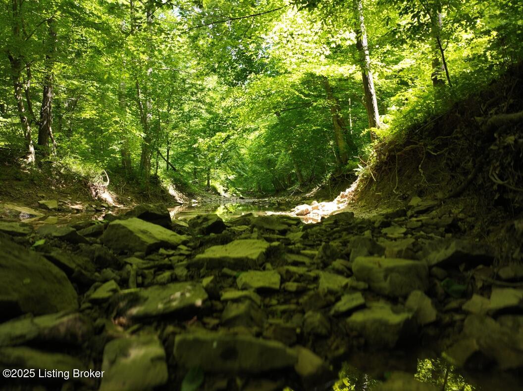 5579 Falls Of The Rough Road Caneyville, KY 42721 - Photo 14 of 33 DJI_0123_20