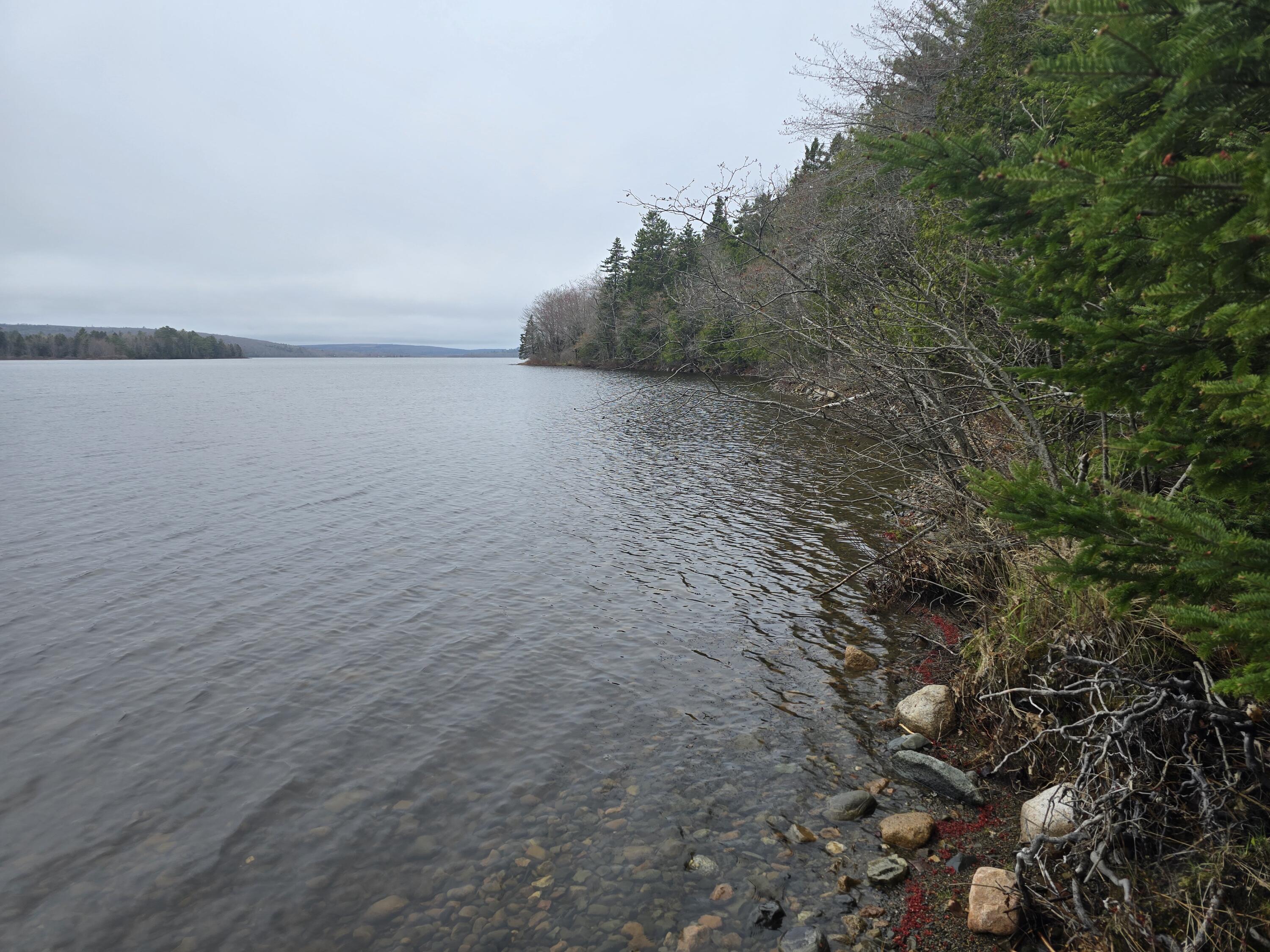 Lot C Lot C Deer Point Road Robbinston, ME 04671 - Photo 1 of 5 20250507_131350