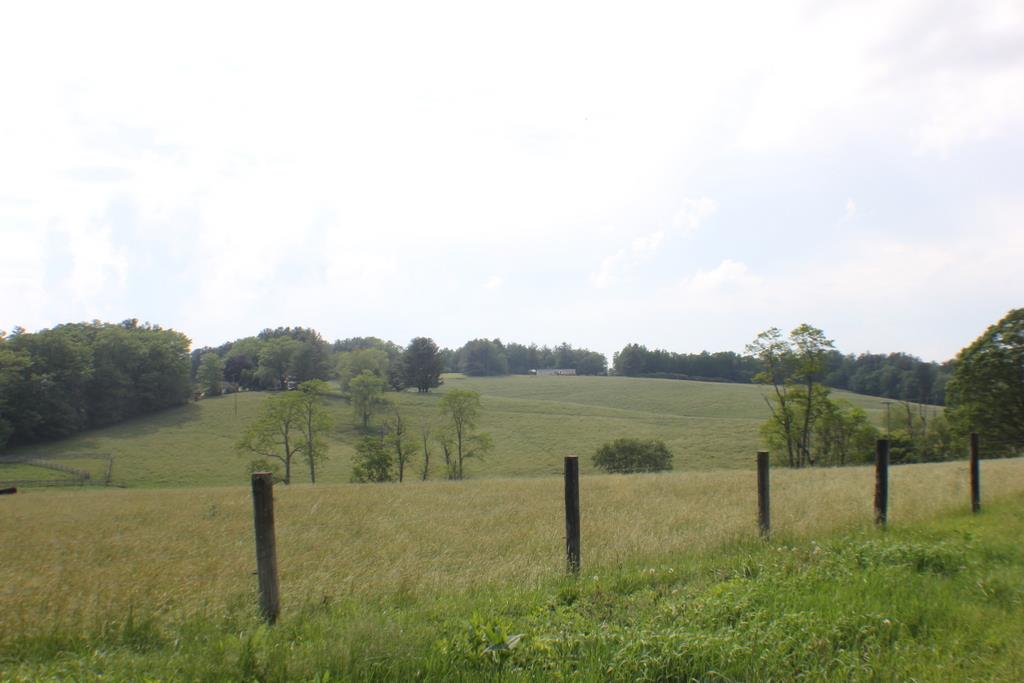 2885 Keno Road Laurel Fork, VA 24352 - Photo 30 of 32 Gallery Image 30
