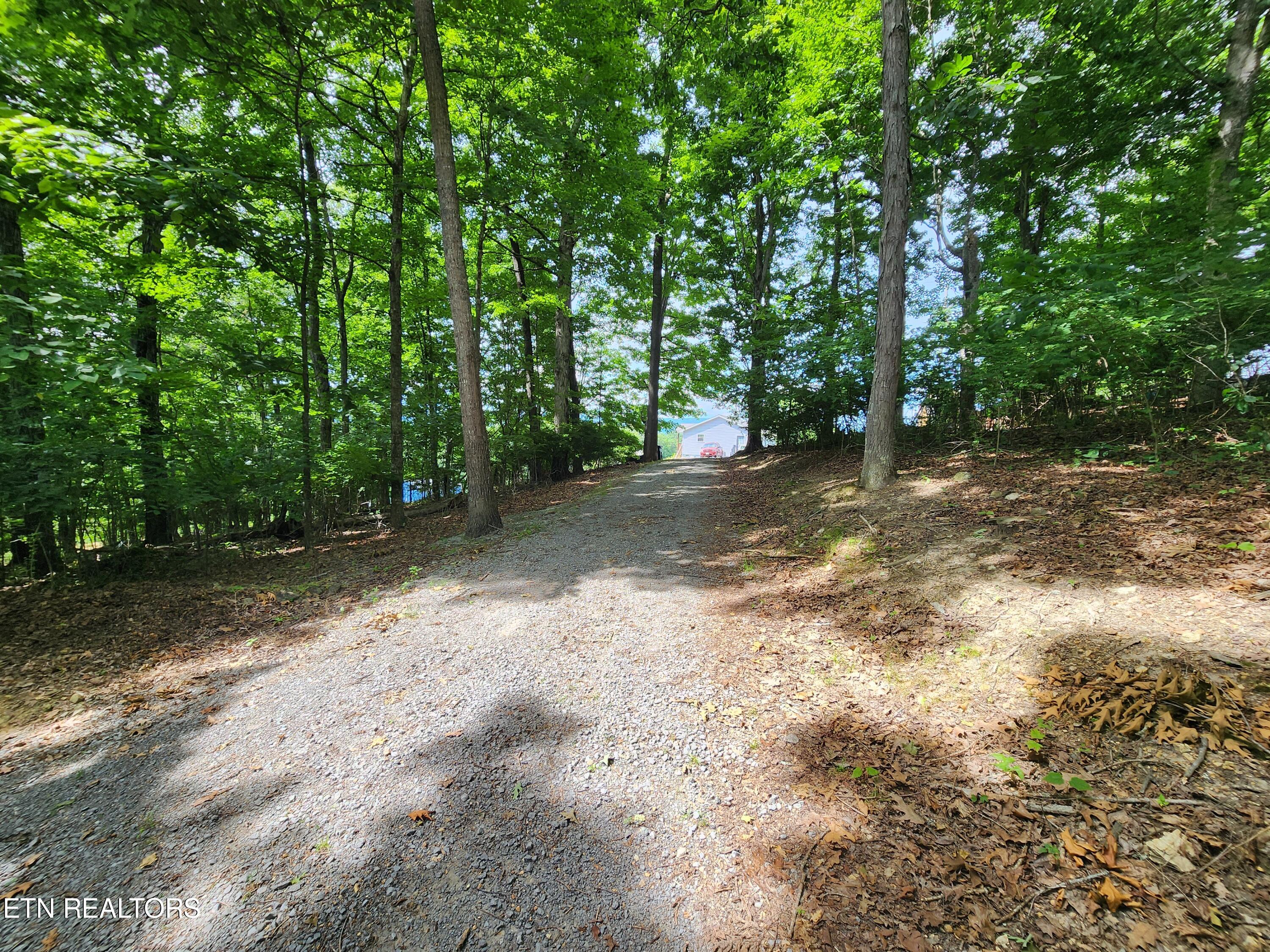 2606 Sandy Ridge Road Jonesville, VA 24263 - Photo 20 of 25 20240612_155939