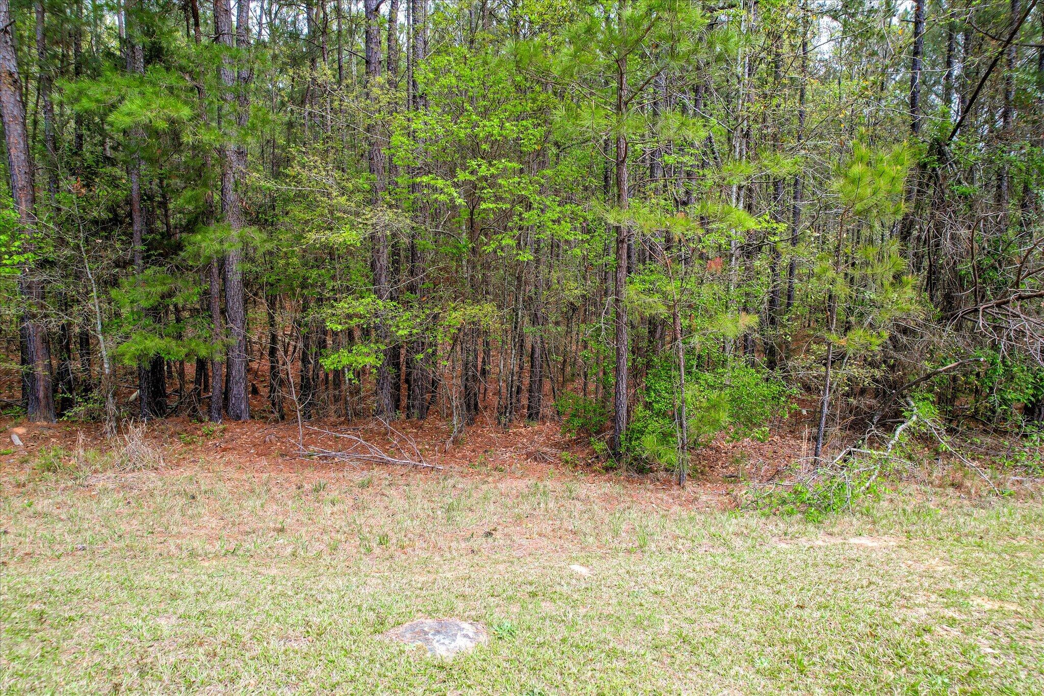 Lot 13 Longleaf Pointe