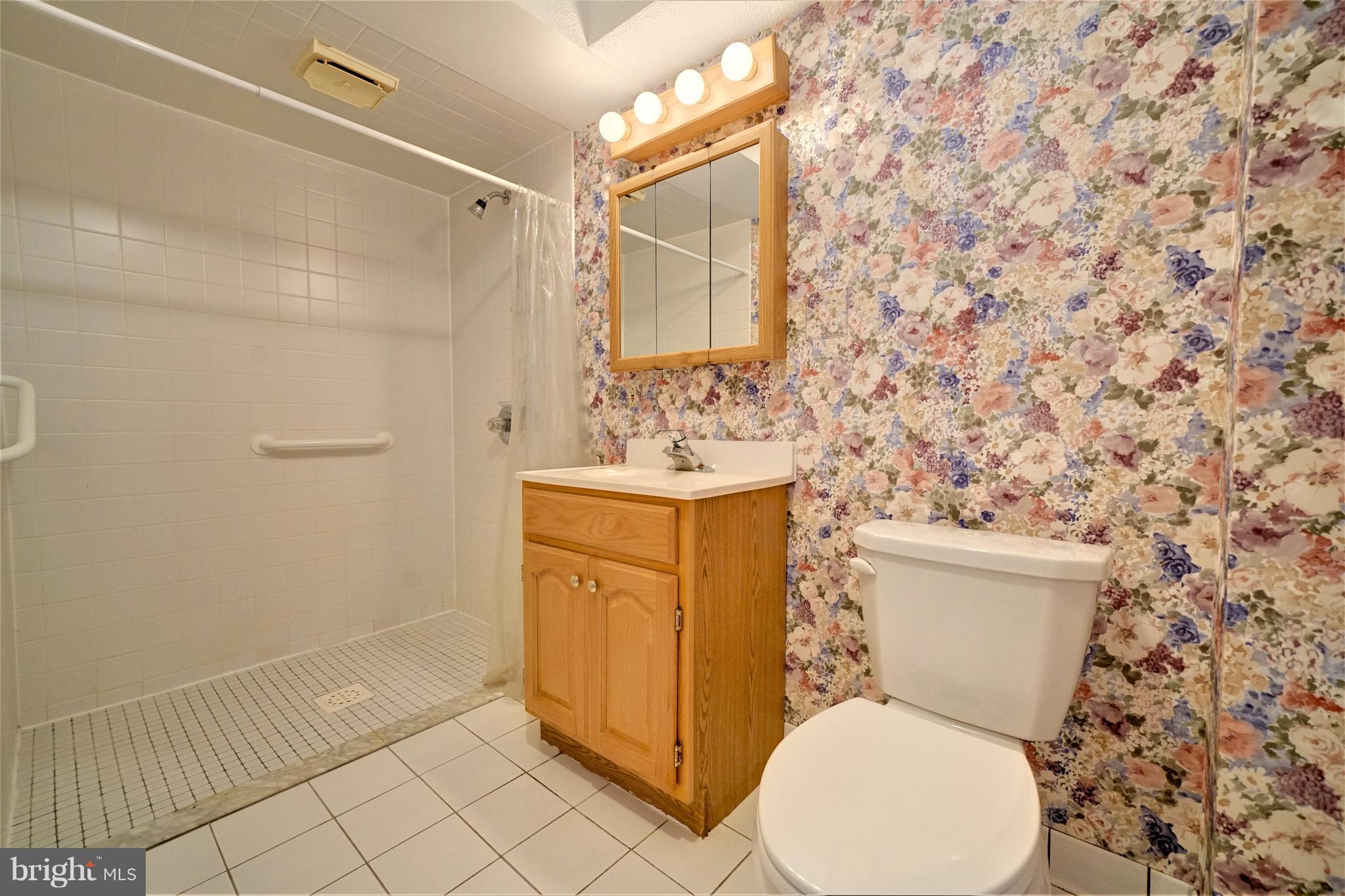 9923 Maidbrook Road Baltimore, MD 21234 - Photo 22 of 30 Full bath in basement w/walk in shower