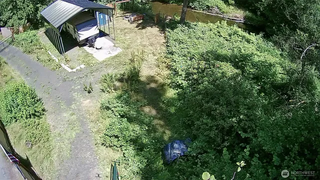 a view of a yard with plants