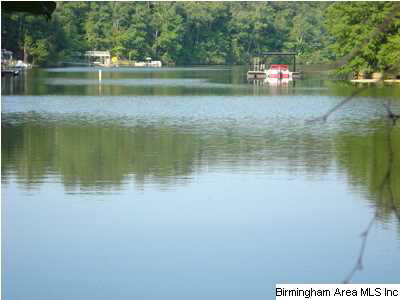 Peninsula Drive, Unit 47 Wedowee, AL 36278 - Photo 4 of 9