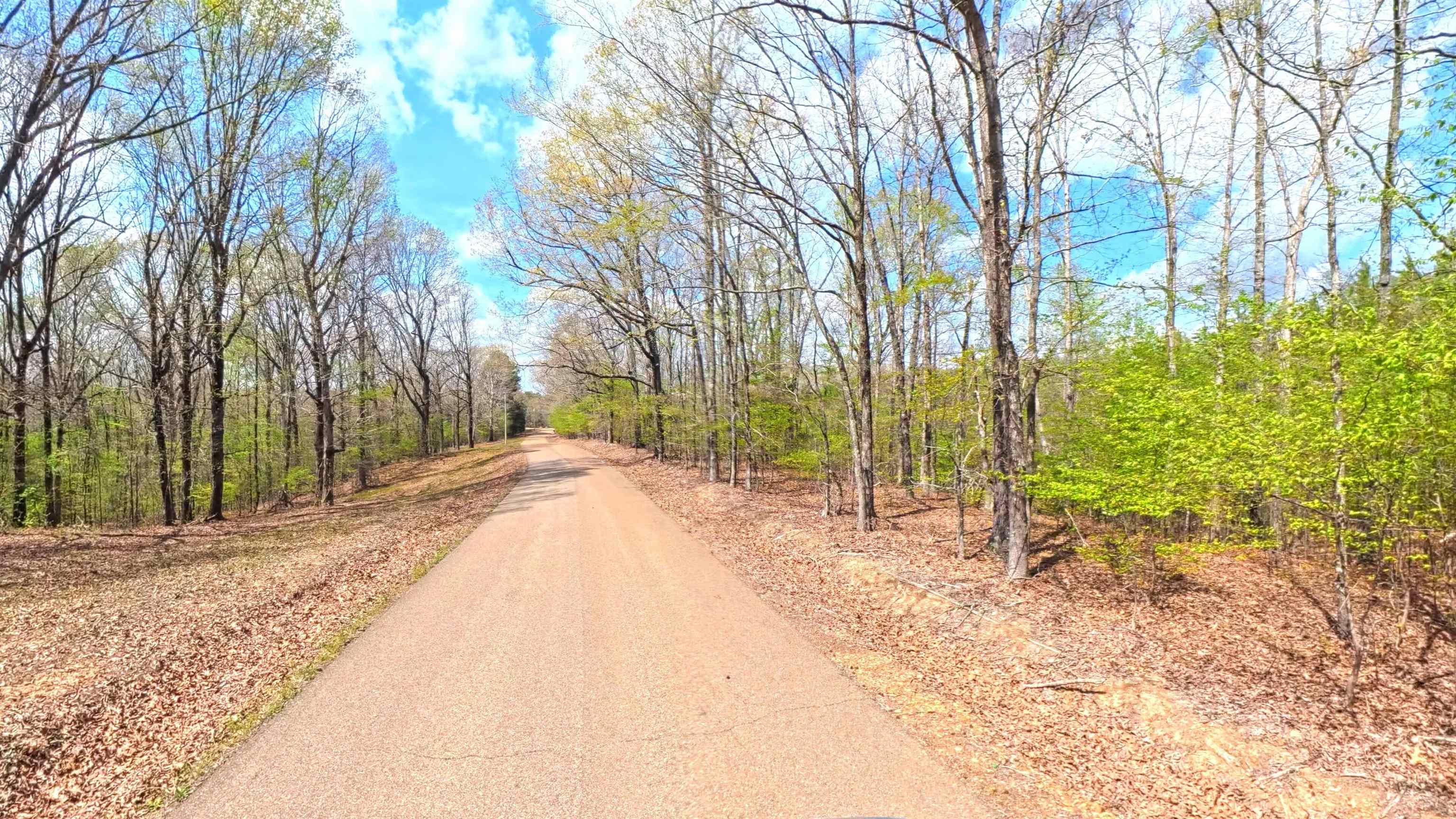 0 Dacus Road Henderson, TN 38340 - Photo 10 of 12 a view of backyard with green space