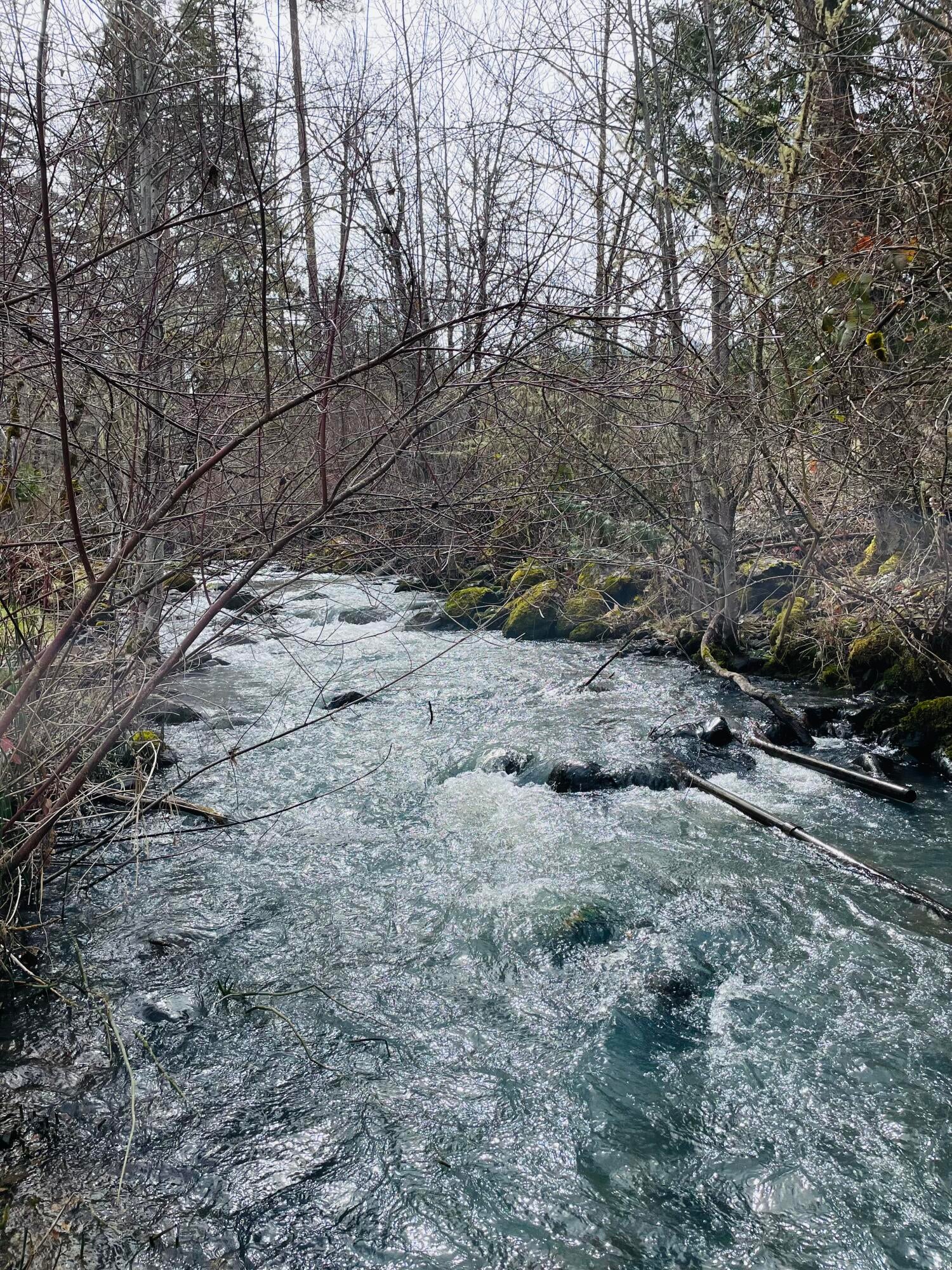 15000 Elk Creek Road Trail, OR 97541 - Photo 46 of 48 0ADC64F8-FAA1-4B83-9F5C-867529D401C5