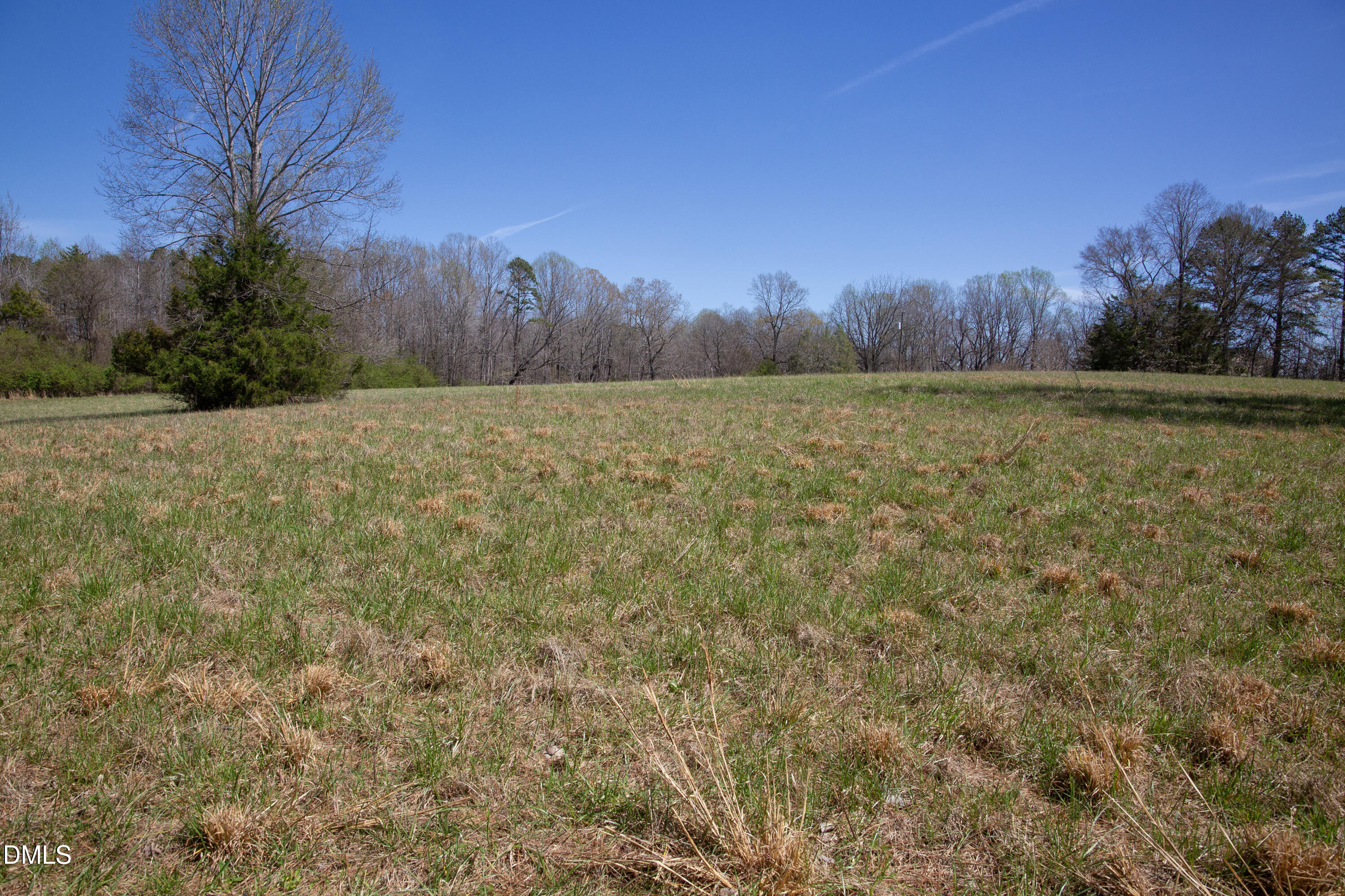-19 Acs Doll Branch Road Milton, NC 27305 - Photo 3 of 10