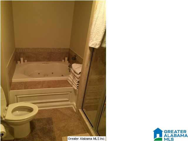 3703 Co Highway 24 Springville, AL 35146 - Photo 28 of 28