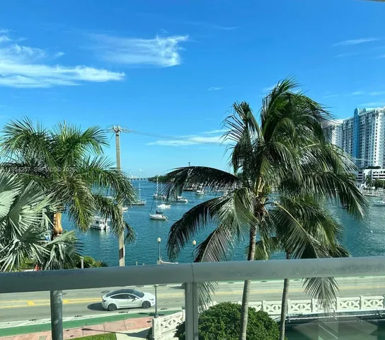 a view of a palm plant from a yard