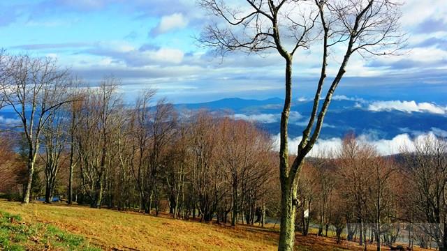 Lot 32 Long View Road Banner Elk, NC 28604 - Photo 2 of 6 Gallery Image 2