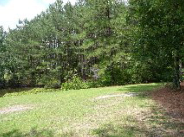 30140 Rock Ridge Road Wagram, NC 28396 - Photo 9 of 10 Additional Photo