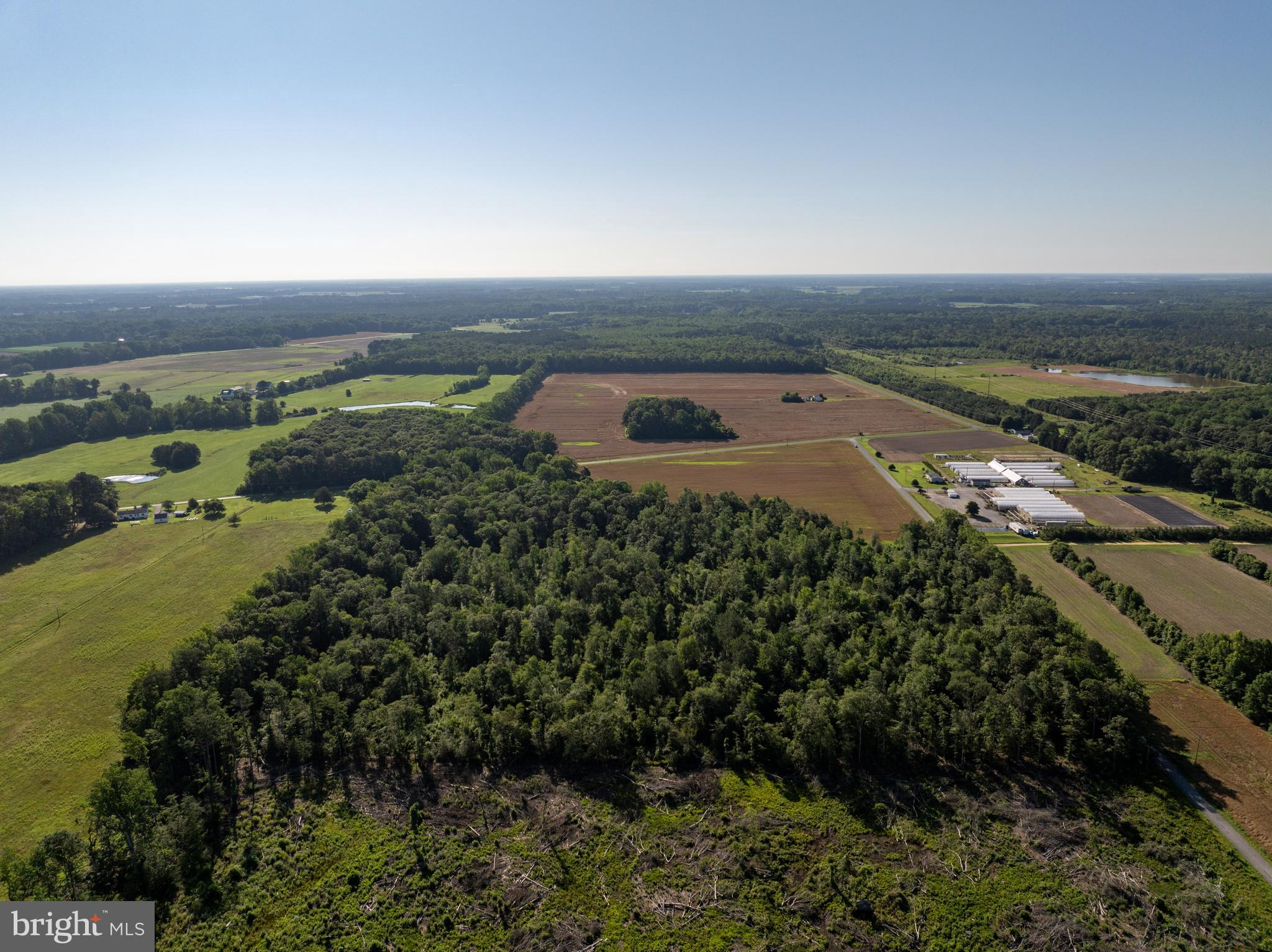 4516 Frazier Neck Road Preston, MD 21655 - Photo 4 of 13 an aerial view of a houses with a yard