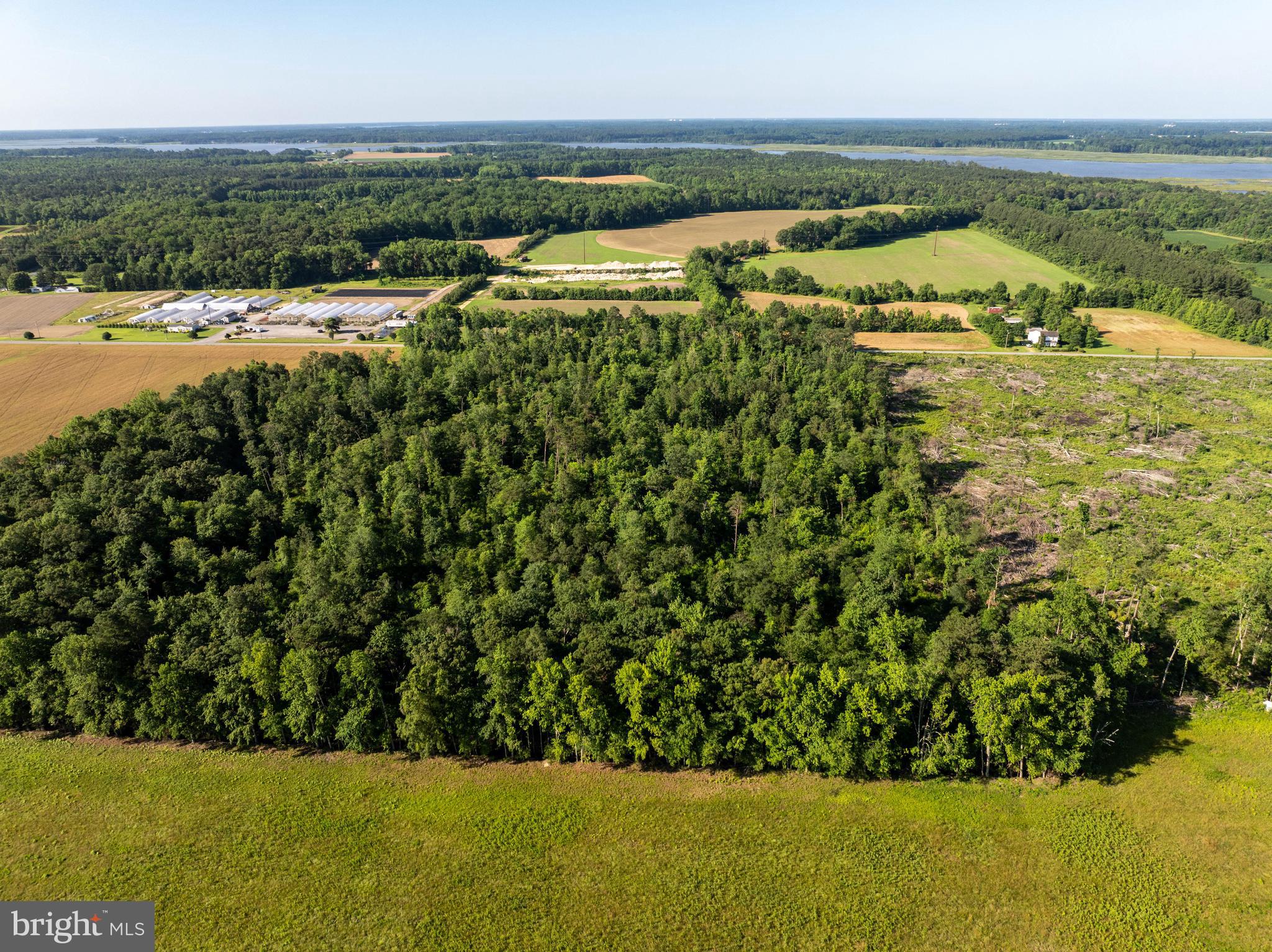 4516 Frazier Neck Road Preston, MD 21655 - Photo 7 of 13 a view of a lake with a yard