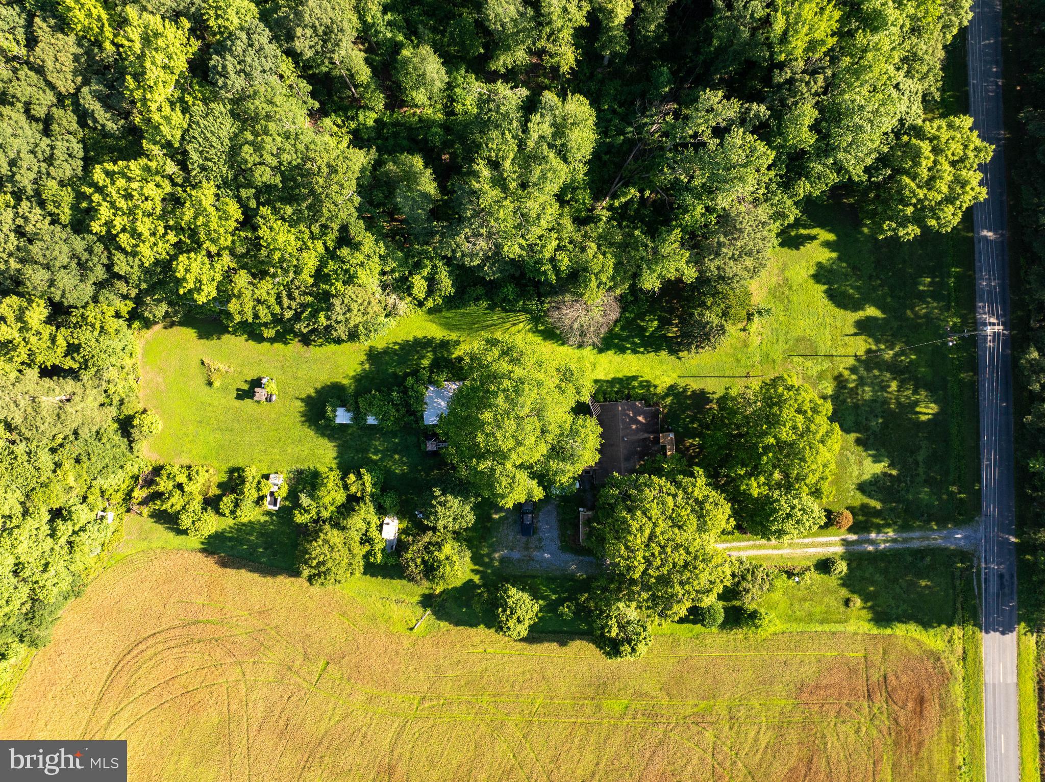 4516 Frazier Neck Road Preston, MD 21655 - Photo 10 of 13 a view of a garden