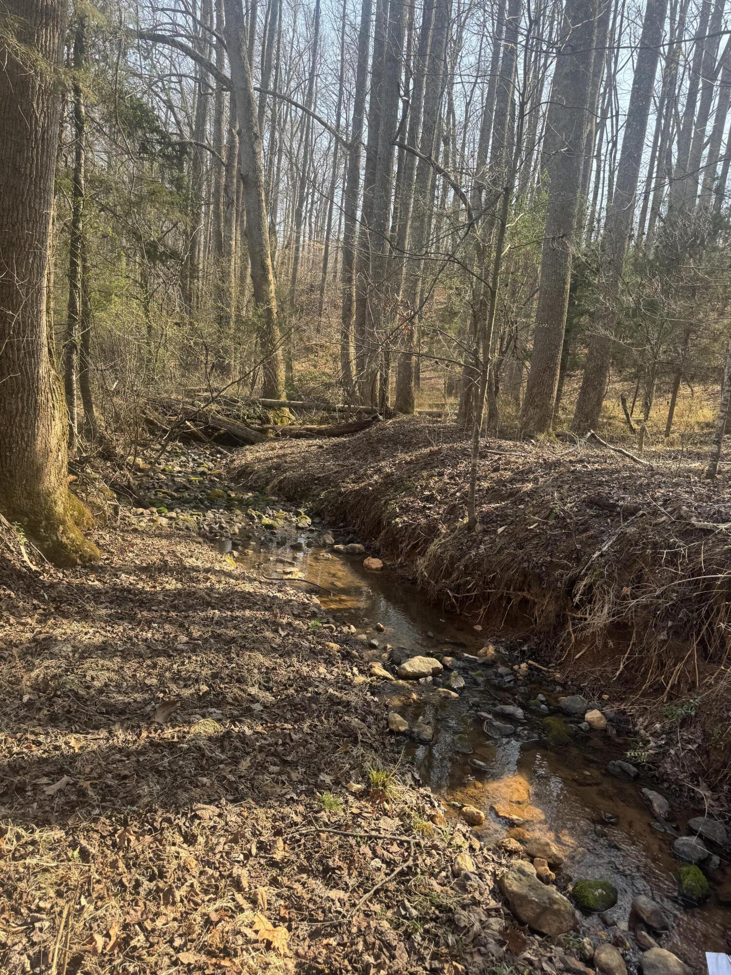 0 Northridge Road Hardy, VA 24101 - Photo 4 of 5 IMG_2653