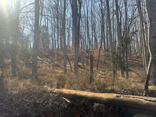 $250,000 | 0 Northridge Road, Hardy, VA 24101