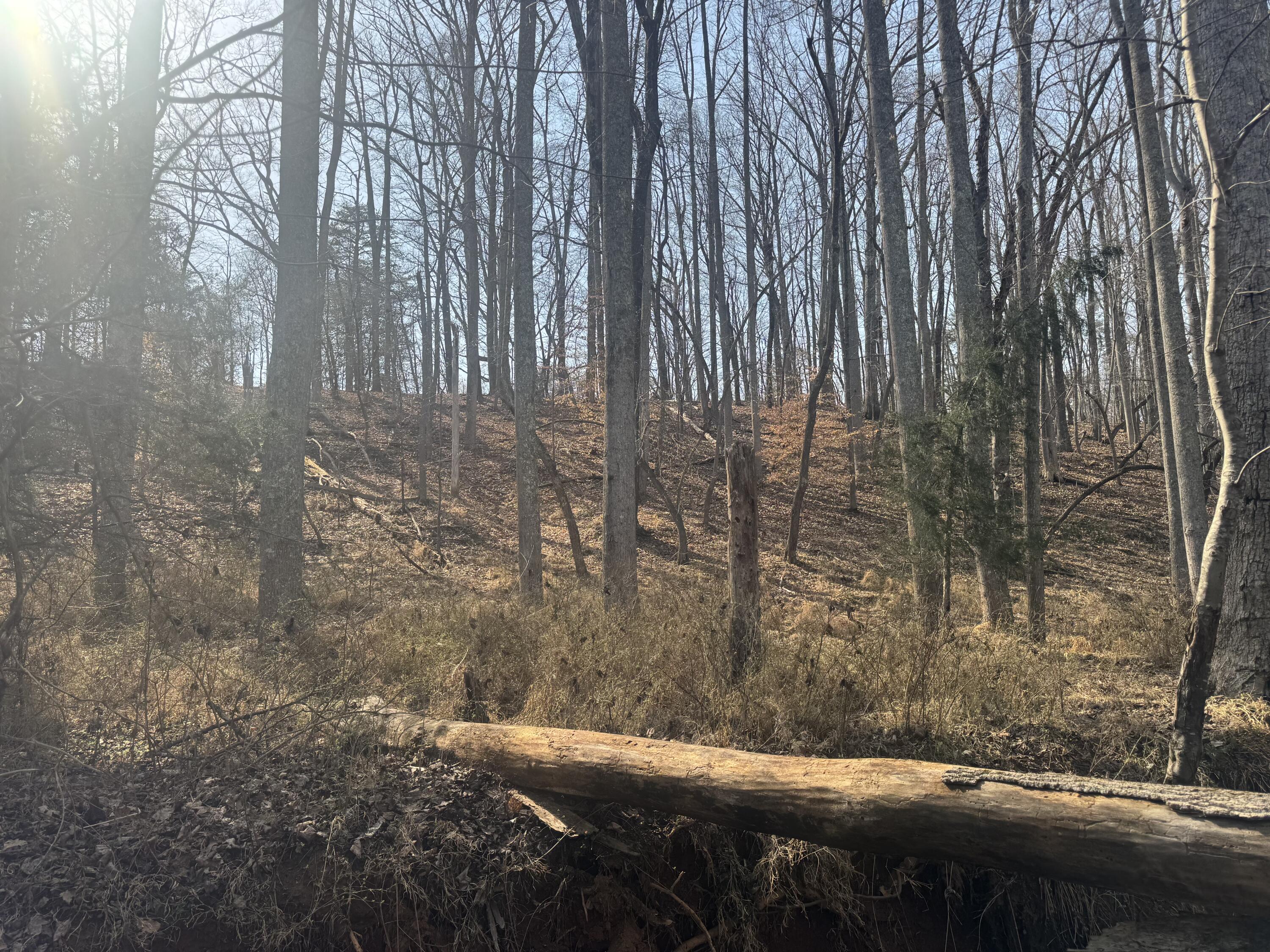 0 Northridge Road Hardy, VA 24101 - Photo 5 of 5 IMG_2655