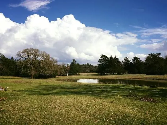 a view of a golf course with a lake