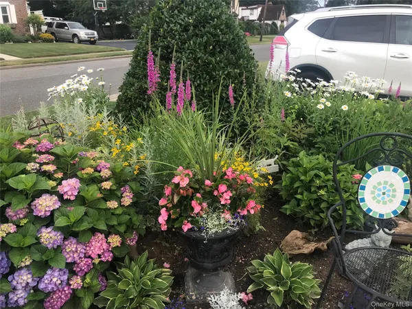 a picture of flowers