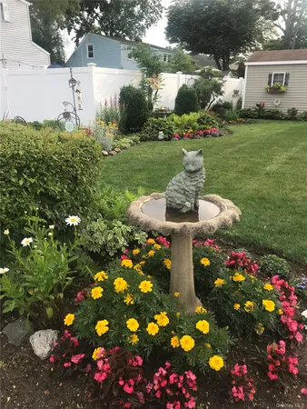 a bunch of flowers and flowers in a yard