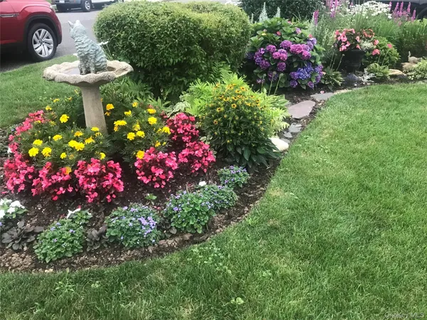 a bunch of flowers are in a garden