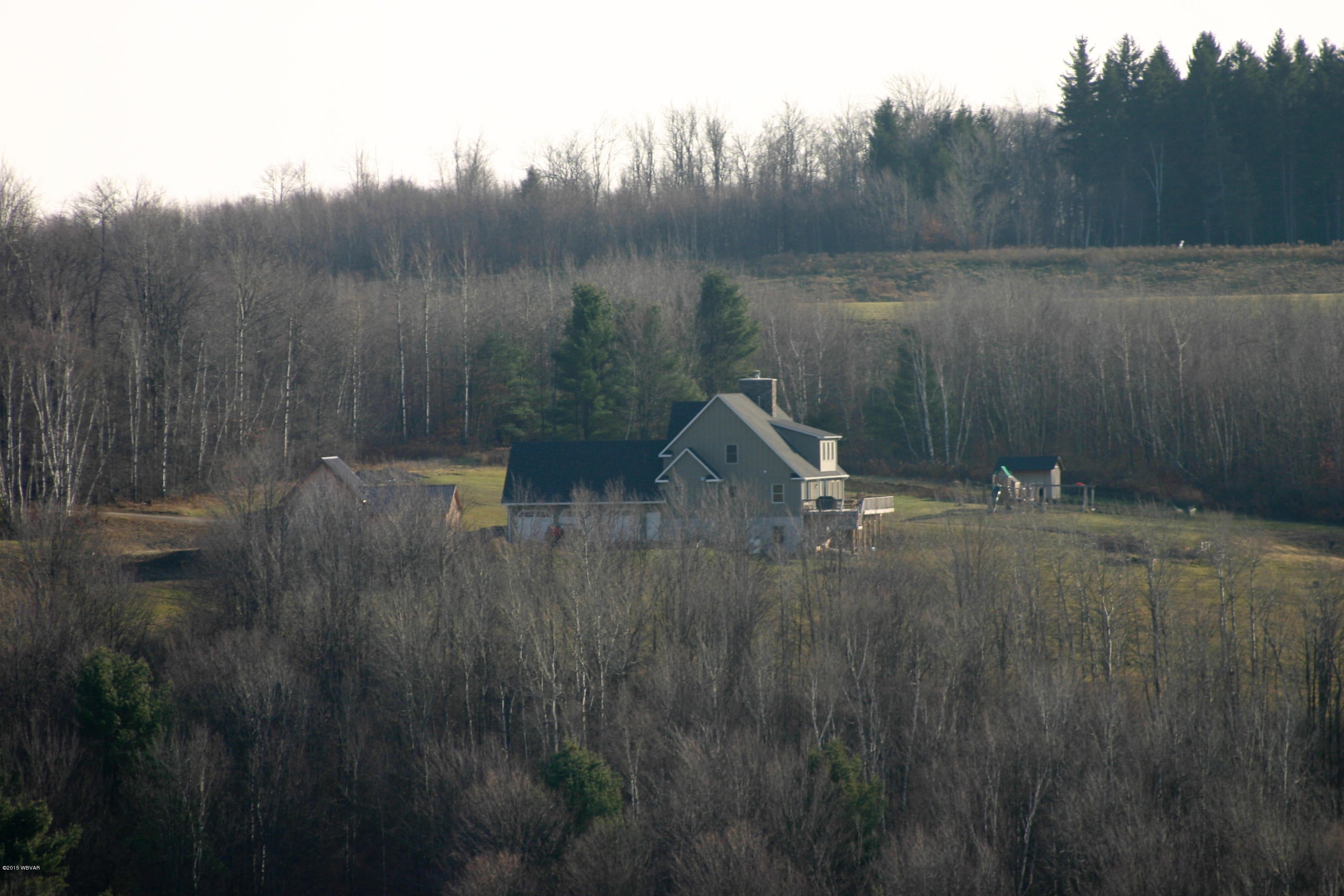 1356 Route 362 Route Wellsboro, PA 16901 - Photo 40 of 66 Beautiful_Home-41