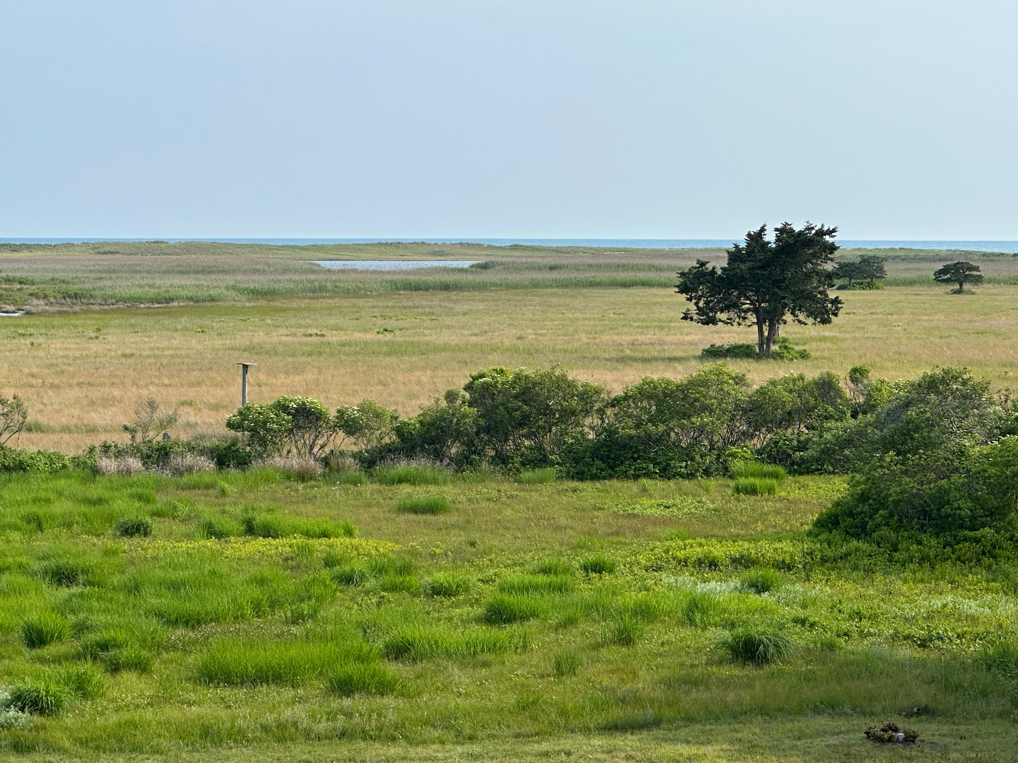 38 Black Point Road Chilmark, MA 02535 - Photo 9 of 38 a view of an ocean from a yard
