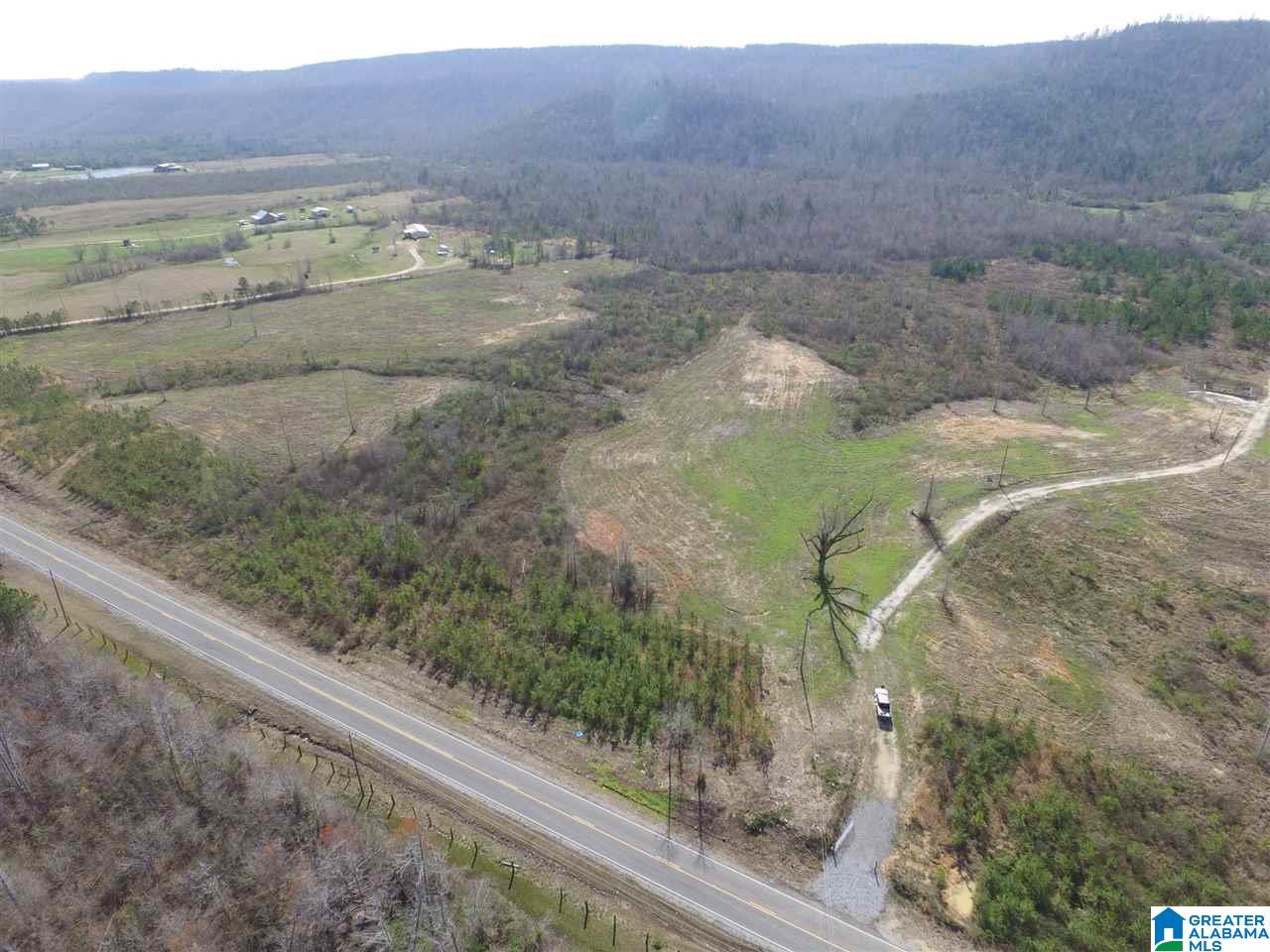 Shoal Creek Road, Unit 4 Springville, AL 35146 - Photo 4 of 10