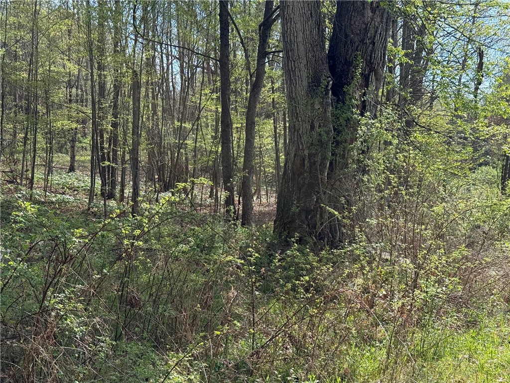 9155 Smith Road Lindley, NY 14870 - Photo 17 of 33