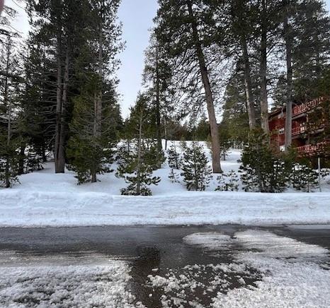 33839 Hawkweed Way Kirkwood, CA 95646 - Photo 7 of 11 a view of a yard with trees