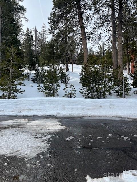 33839 Hawkweed Way Kirkwood, CA 95646 - Photo 8 of 11 a view of outdoor space and yard