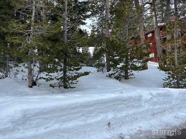 33839 Hawkweed Way Kirkwood, CA 95646 - Photo 9 of 11 a view of a forest with trees