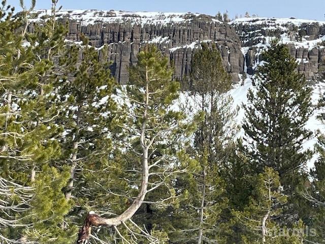 33839 Hawkweed Way Kirkwood, CA 95646 - Photo 10 of 11