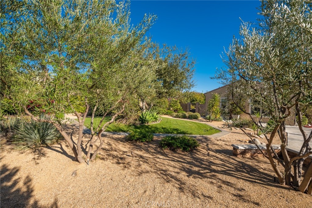 845 Alpine Meadows Lane Riverside, CA 92506 - Photo 33 of 57 a view of a garden
