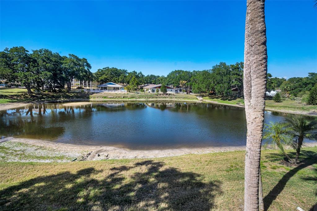 936 Virginia Street, Unit 201 Dunedin, FL 34698 - Photo 23 of 43