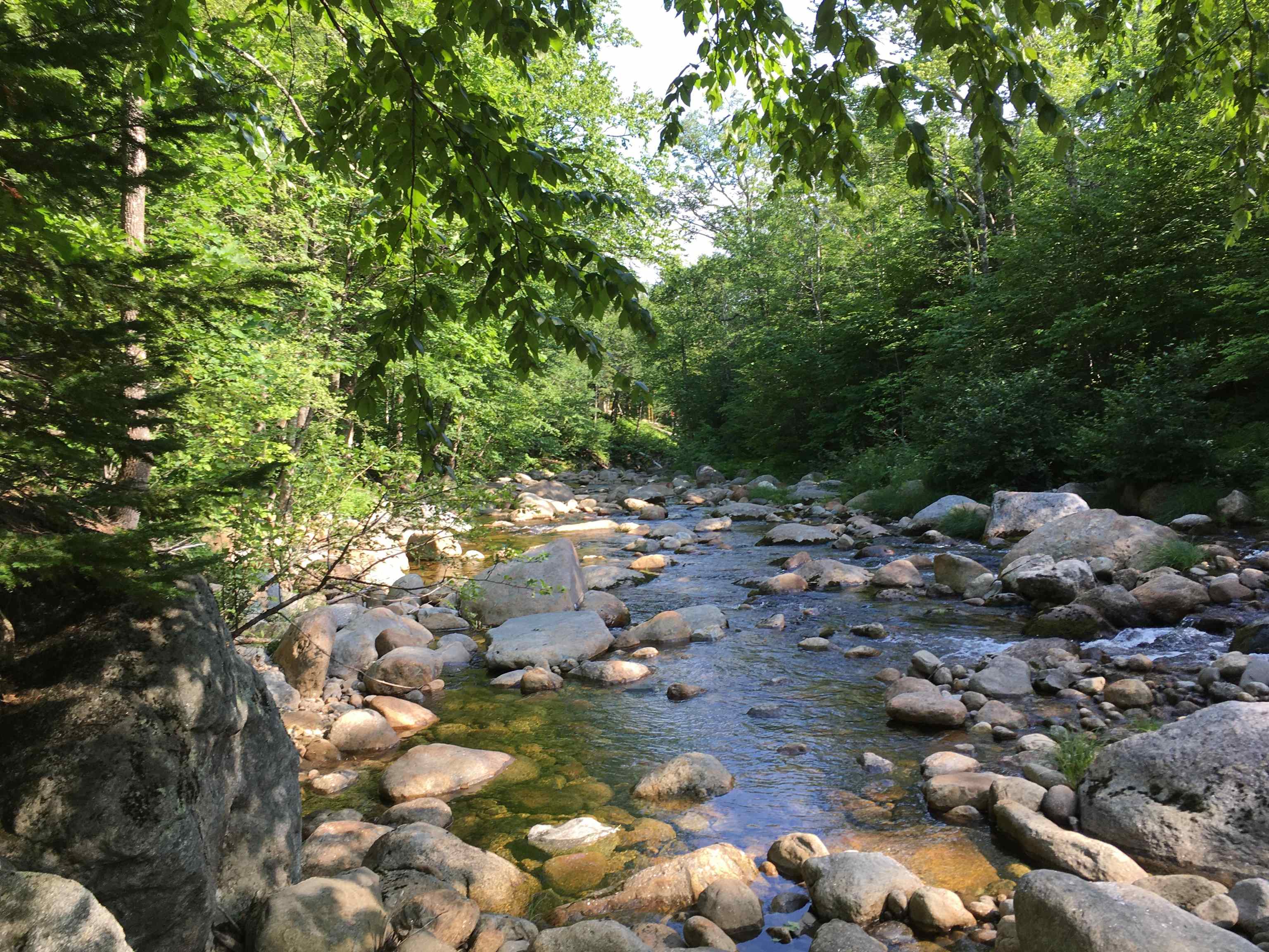 20 Melloon Road Jackson, NH 03846 - Photo 2 of 30