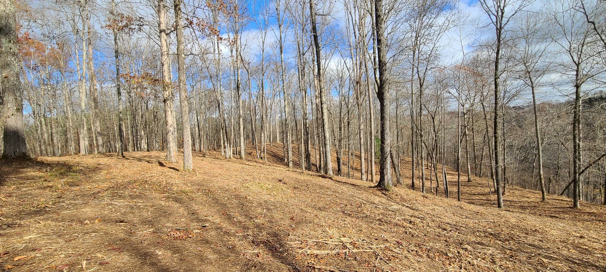 24 Allen Bend Road Smithville, TN 37166 - Photo 2 of 16 Gallery Image 2