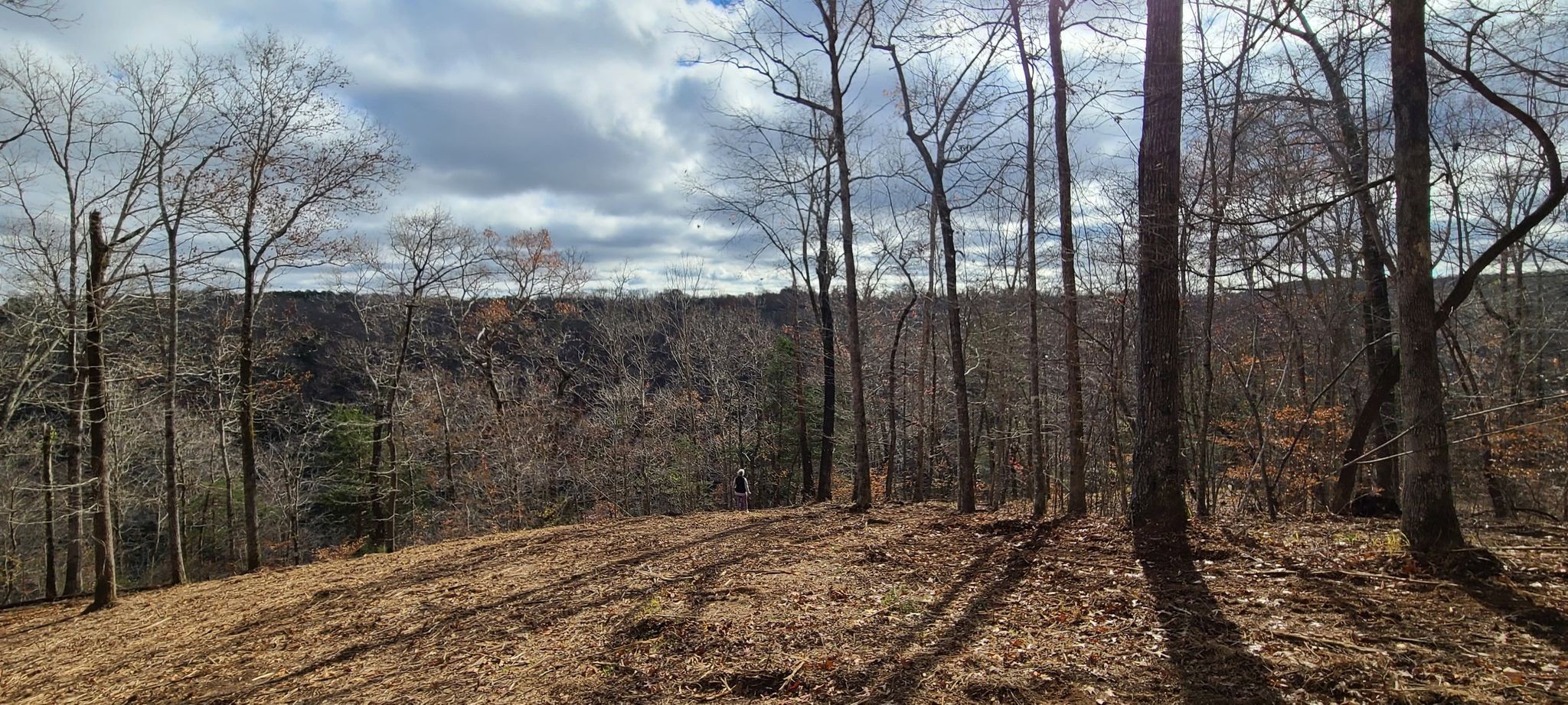24 Allen Bend Road Smithville, TN 37166 - Photo 3 of 16 Gallery Image 3