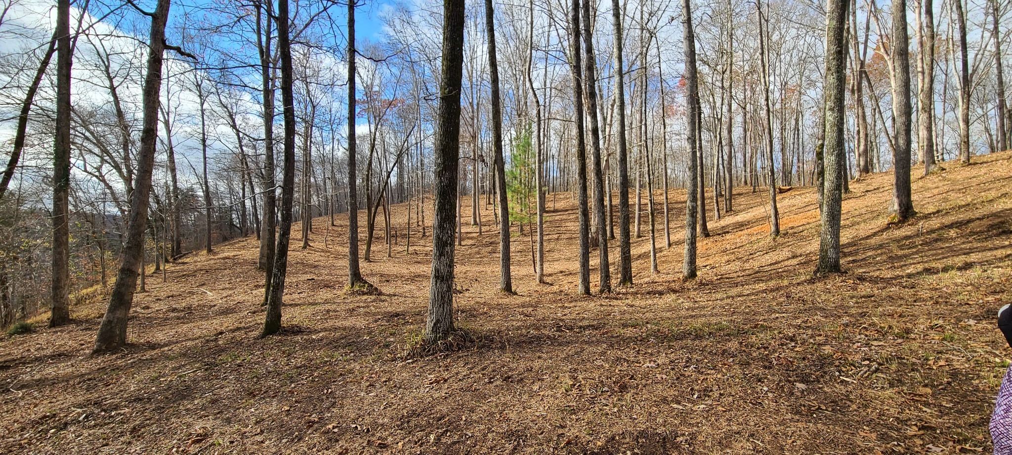 24 Allen Bend Road Smithville, TN 37166 - Photo 10 of 16 Gallery Image 10