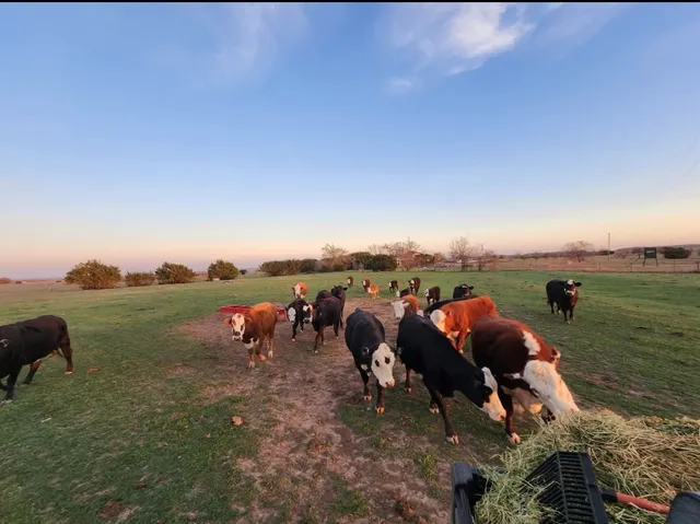 $2,000,000 | 1140 County Road 130, Gatesville, TX 76528